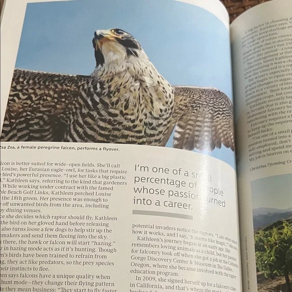 #0969**Sunflower Themed Home Accent Book - Picture 6 of 14